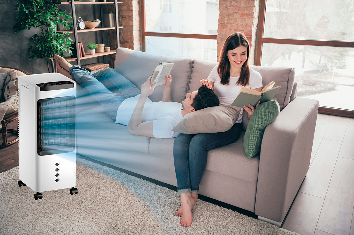 Smart Breeze - - La bonne remise