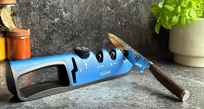 Aiguiseur Pro de couteaux - Polyblade