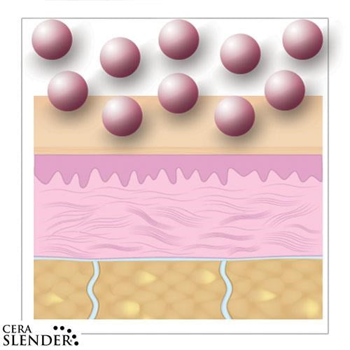 CERA SLENDER - Vêtement amincissent - La bonne remise