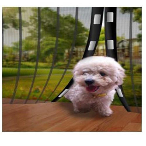 PORTE MIRACLE - Antiparasitaire - La bonne remise