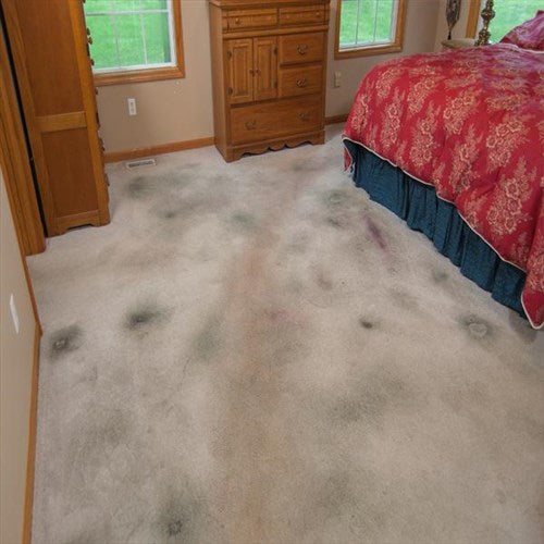 VIBRATWIN - Balais - La bonne remise