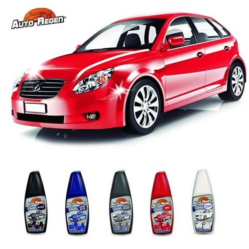 AUTO REGEN - Auto - La bonne remise