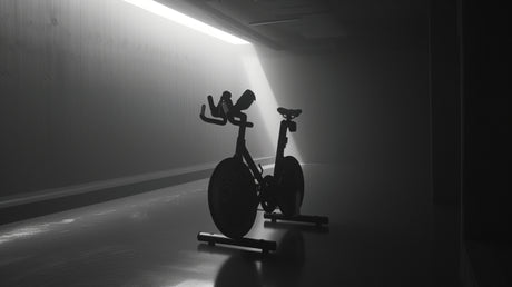 vélo appartement