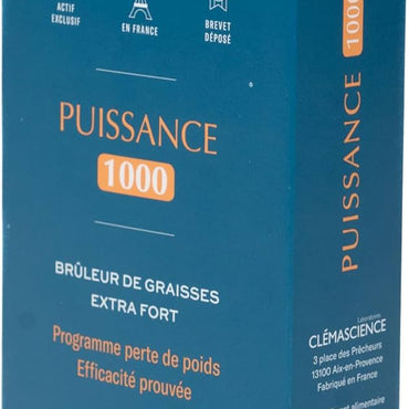 Puissance 1000