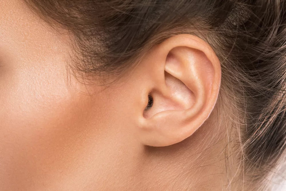 Amplizone - Amplificateur sonore intra-auriculaire