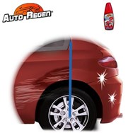 AUTO REGEN - Auto - La bonne remise
